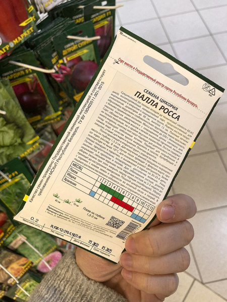 цикорий Палла росса